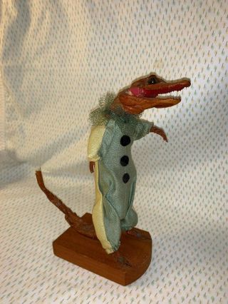 Vintage Collector Taxidermy Real Baby Stuffed Alligator Clown