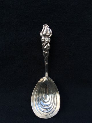 1899 Ailanthus Tiffany & Co.  Sterling Silver Berry Serving Spoon 4.  5 "