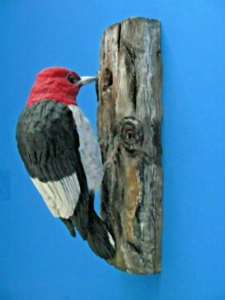 One - Of - A - Kind Lifesize Red - Headed Woodpecker Wood Carving - 2000,  Signed