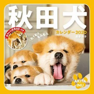 Mukumukumofumofu Akita Dog Calendar 2020 Shoeisha Calendar