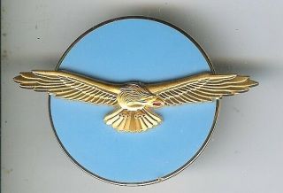 Modern Canadian Air Command Pocket Badge