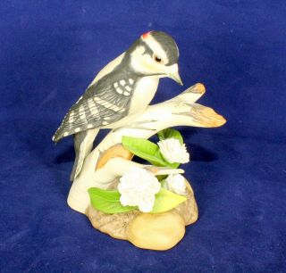 Boehm Porcelain Downy Woodpecker With Cherry Blossom Figurine,  40207