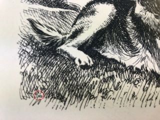 MORGAN DENNIS (1893 - 1960) ETCHING OF A GERMAN SHEPHERD DOG,  GORGEOUS 3