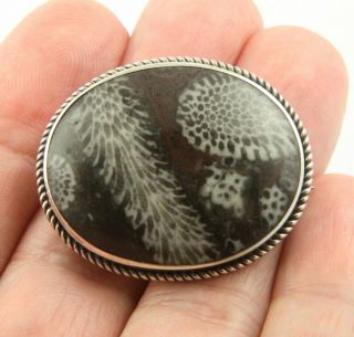 Exquisite Antique Victorian C1890 Silver Scottish Agate Fossil Brooch Pin