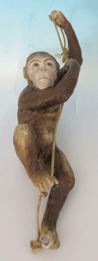 Unusual German Porcelain Figure Of A Climbing Monkey 32cm Johansen Roth