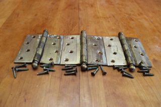 Vintage 4 " Brass Cannon Ball Door Hinges Set Of Three With Brass Screws 1949 2