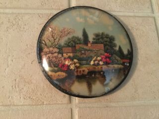 Antique Wall Picture 6” Convex Glass Dried Flowers Country Cottage