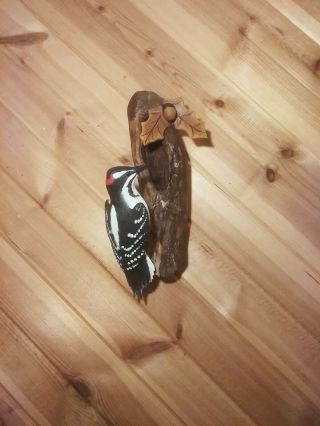 Hairy Woodpecker Wood Carving Songbird Wood Carving Duck Decoy Casey Edwards