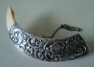 Antique Silver Mounted Boar Tusk Brooch Scarf Shawl Pin