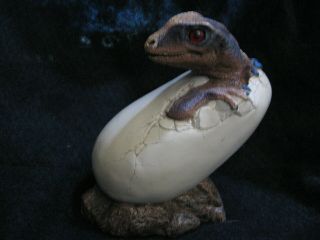 Windstone Editions Dragon Sculpture Hatching Collectible Art Fantasy Magic