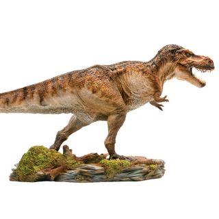 Pnso 1/35 Tyrannosaurus T Rex Figure Dinosaur Model Toy Base Collector Decor