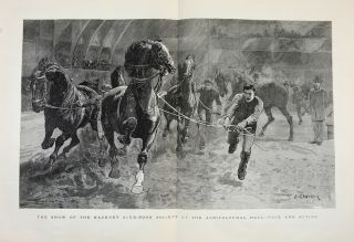 Horse Hackney Stud Book Society Show,  Huge Double - Folio 1880s Antique Print