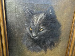 19thc Monogrammed Oil Painting On Canvas Of A Cat In Gilt Frame C1899