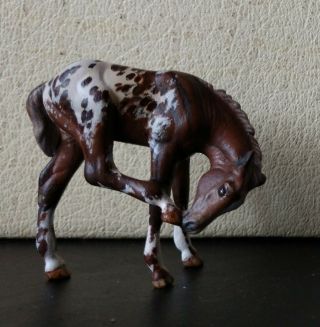 Cm Custom Breyer Stablemate By Diane Capwell.  Mutiple Nan Qualified