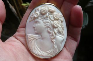 Large Victorian Carved Bacchus Pink Conch Shell And 9 Carat Gold Brooch