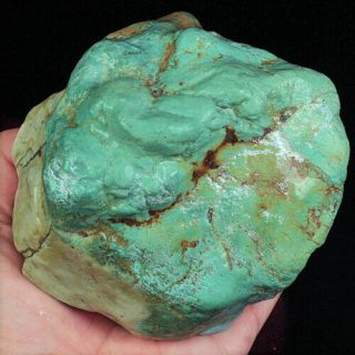 2587.  3ct 100 Natural Brain Turquoise Nugget Intact Specimen Yscg36