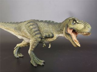 Rebor 1/35 Tyrannosaurus Rex T - Rex Killer Queen Dinosaur Model Green Dinos Toy