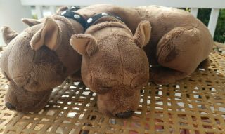 Harry Potter 3 Headed Dog Fluffy Stuffed Plush Snoring Universal Studio Cerberus