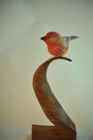 Purple Finch Bird Life Size Wood Carving /sculpture