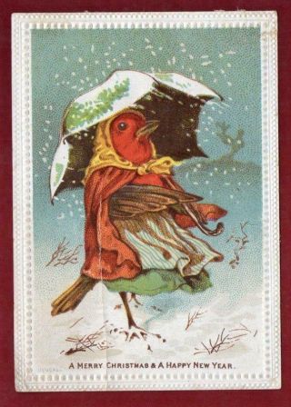 Victorian Goodall Humanised Robin Christmas Greeting Card
