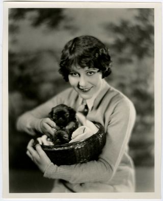 Vintage 1920s Silent Film Flapper Patsy Ruth Miller Soft Focus Photograph W/ Pup