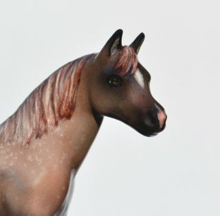 Tiny SM Miniature Half Arabian Red Roan Appaloosa Horse Ceramic China Figurine 2