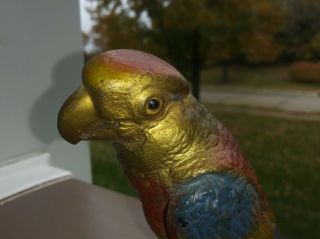 Parrot Bird Vintage German Gilt Metal Figurine Statue Sculpture Rare Antique