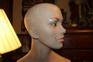 Vintage 1950 ' s Mannequin Bust Chest Head Real Glass Eyes Wood Base Fiberglass 2