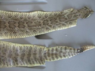 Rattlesnake Skin Prairie Rattler Hide Soft Tanned Bow Wrap Pen Blanks 44 In.  P5