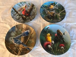 Edwin Knowles Limited Edition Bird Collector Plates - The Cardinal,  The Blue Jay