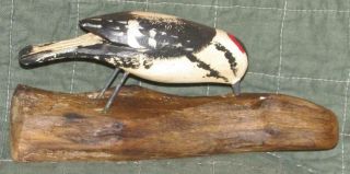 Downy Woodpecker Carved Jim Slack Pekin Il Bird Figure Wall Mount Decoy Carver
