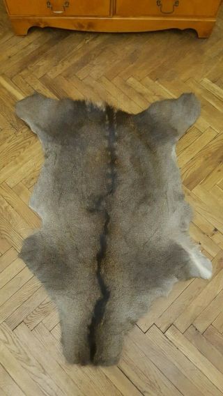 Red Deer Skin Hide Rug Silver Fur Pelt Soft Medical Cushion Shamanic Home Decor