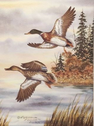 Mallard Ducks D Smith Signed Artwork 784 / 950 Custom Oak Framed 15 X 19 " Litho