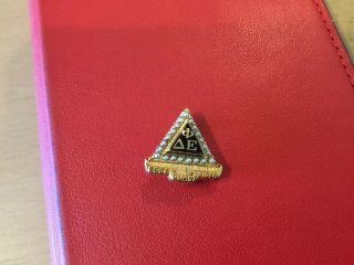 Delta Phi Epsilon Badge - 10k Yellow Gold Seed Pearls & Enamel Sorority Pin