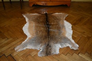 Fallow Deerskin Hide Fur Pelt Rug Home Decor Medical Cushion Interior Ornament