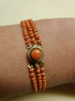 Antique,  Victorian Carved Salmon Red Coral,  Graduating Beads Bracelet,  C 1880s