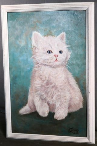 Vintage Oil Painting Portrait White Kitten Cat “beauty” L Henney Chalky Frame