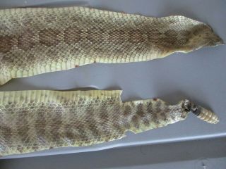 Rattlesnake Skin Prairie Rattler Hide Soft Tanned Bow Wrap Pen Blanks 50 In.  P4