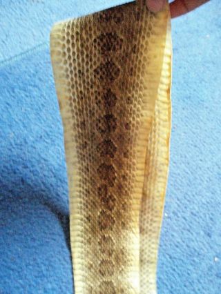 Rattlesnake Skin Prairie Rattler Hide Soft Tanned Bow Wrap Pen Blanks 48 In.  T3
