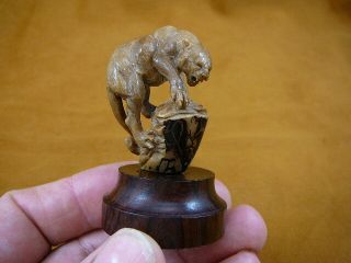 (tb - Panth - 1) Panther Mountain Lion Shed Antler Figurine Bali Detailed Carving