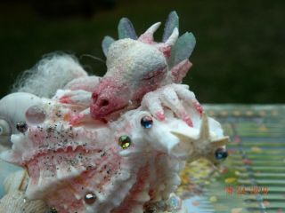 Ooak Miniature Artist Sculpted White " Dragonfly " Water Dragon Hatchling