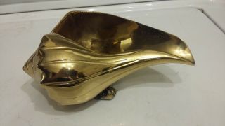 Solid Brass " Sea Shell " Planter Vase - 8 " Figurine Statue - Jardiniere Pot /bowl