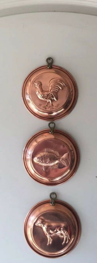 Set Of 3 Vintage French Copper Pan Molds Hammered Brass Handles Rooster Fish Cow