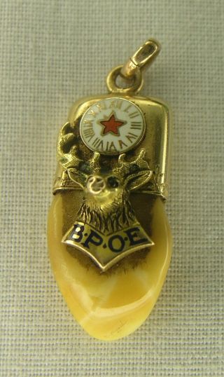 Late 1800s Or Early 1900s Elks Tooth & Gold,  Member Fob
