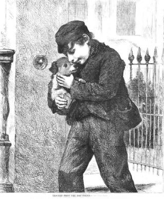 Rescued From The Dog Pound Wonderful 150 - Year - Old Engraving