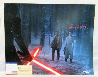 Star Wars Force Awakens Daisy Ridley Rey Signed Autograph 16x20 Photo Psa/dna