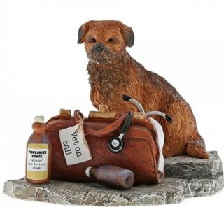 Kitchy & Co Border Terrier Vet On Call Dog Figurine A29474