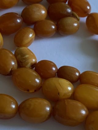 Antique Graduated Butterscotch Amber Bead Necklace - 23 Grammes