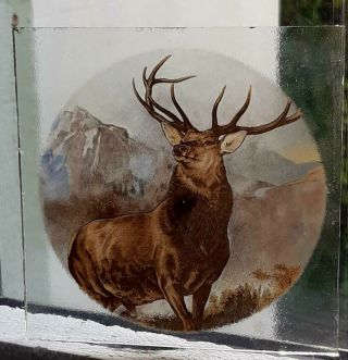 Stained Glass Stag - Kiln Fired Transfer Fragment Insert Clear Glass Pane Deer