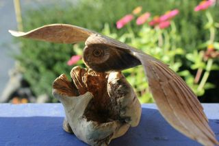 Owl Bird Of Prey Sculpture Hand Carved Parasite Mushroom Wood Statue Bali Art